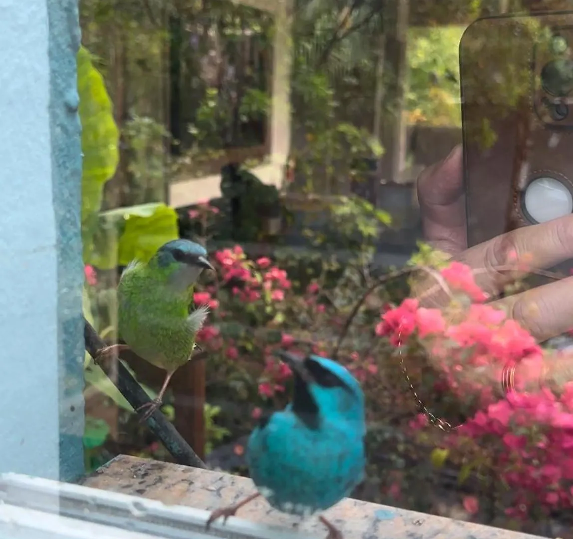 Alojamento de Turismo Selvagem Recanto Dos Passarinhos Linda Casa Com 2 Quartos Balneário Camboriú